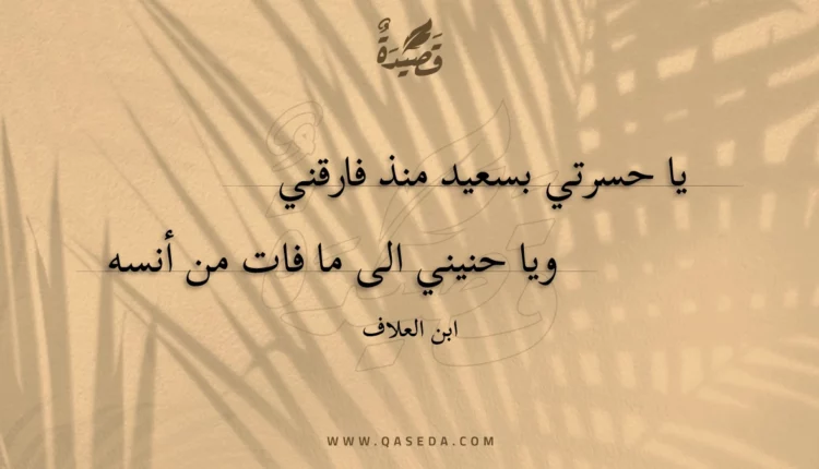 قصيدة يا حسرتي بسعيد منذ فارقني