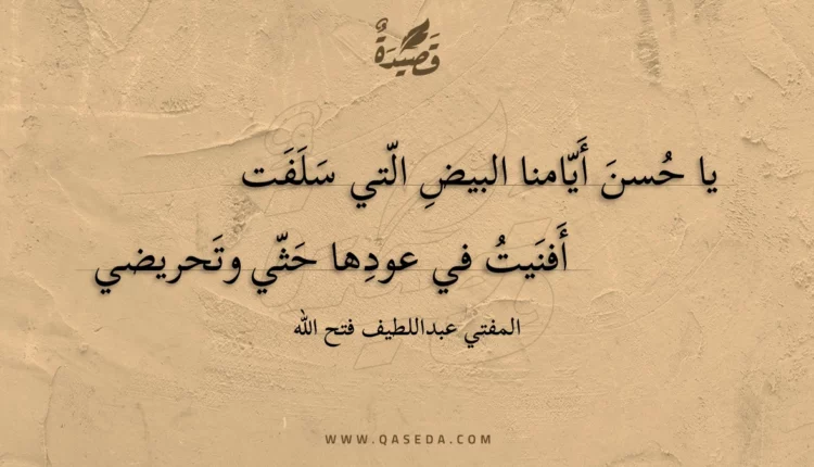 قصيدة يا حسن أيامنا البيض التي سلفت