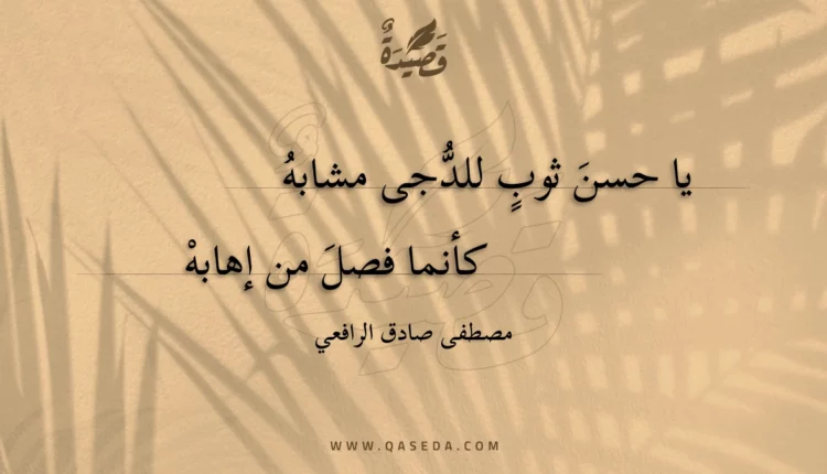 قصيدة يا حسن ثوب للدجى مشابه