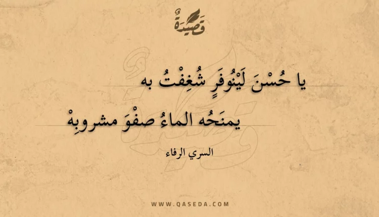 قصيدة يا حسن لينوفر شغفت به