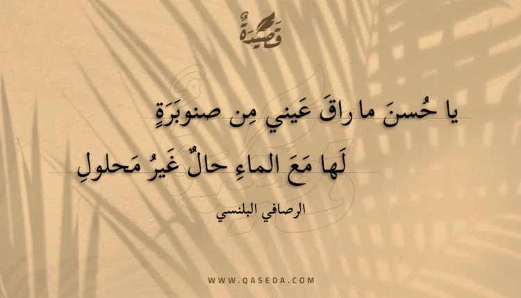 قصيدة يا حسن ما راق عيني من صنوبرة