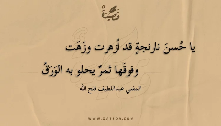 قصيدة يا حسن نارنجة قد أزهرت وزهت