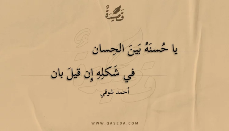 قصيدة يا حسنه بين الحسان