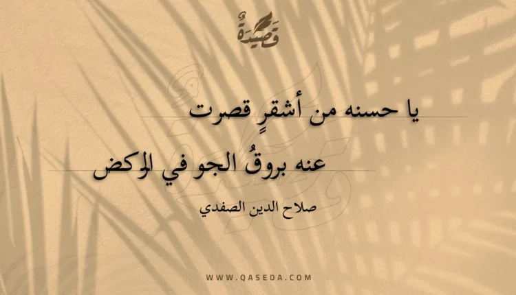 قصيدة يا حسنه من أشقر قصرت