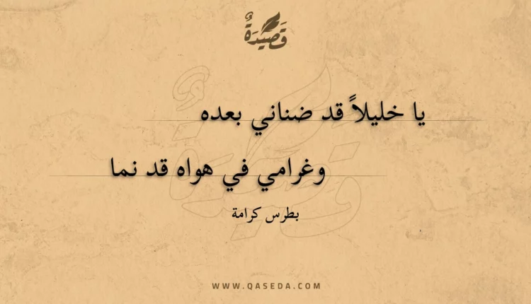 قصيدة يا خليلا قد ضناني بعده