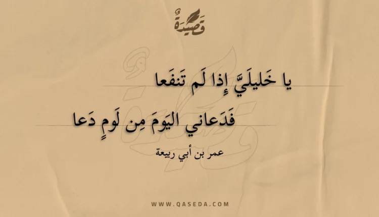 قصيدة يا خليلي إذا لم تنفعا