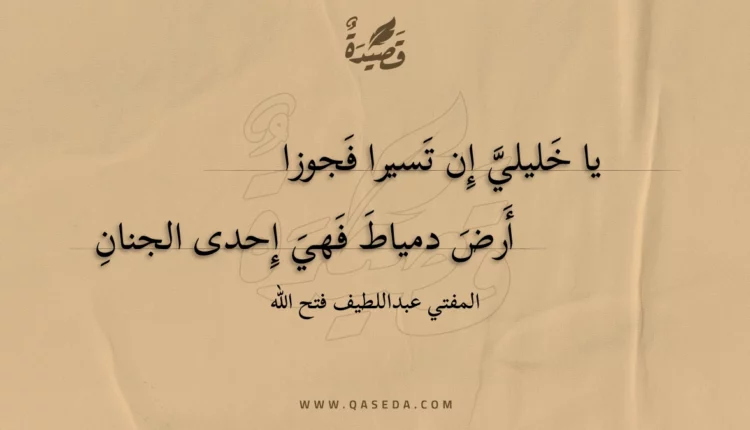 قصيدة يا خليلي إن تسيرا فجوزا