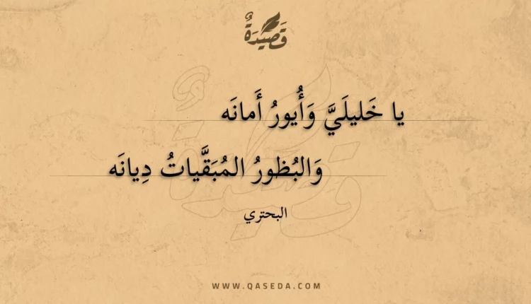 قصيدة يا خليلي وأيور أمانه