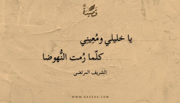 قصيدة يا خليلي ومعيني