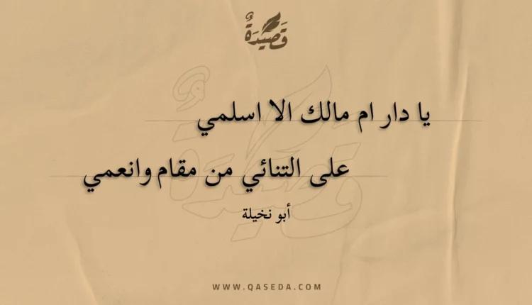قصيدة يا دار ام مالك الا اسلمي