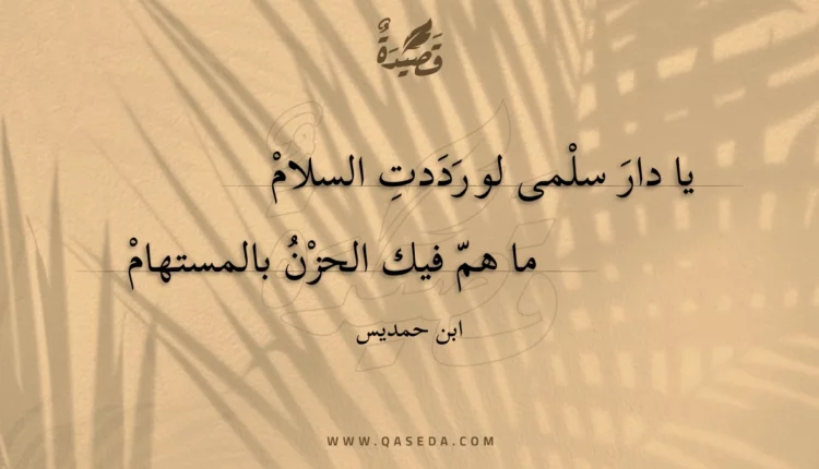 قصيدة يا دار سلمى لو رددت السلام