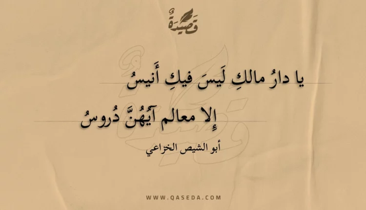 قصيدة يا دار مالك ليس فيك أنيس