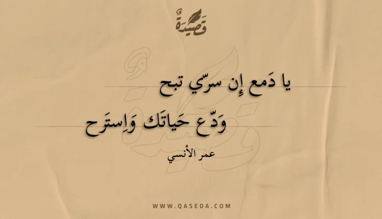قصيدة يا دمع إن سري تبح