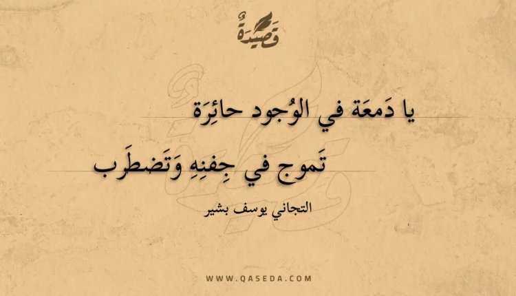 قصيدة يا دمعة في الوجود حائرة
