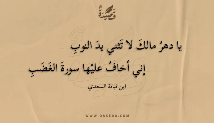 قصيدة يا دهر مالك لا تثني يد النوب