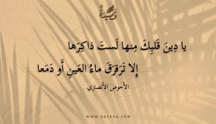 قصيدة يا دين قلبك منها لست ذاكرها