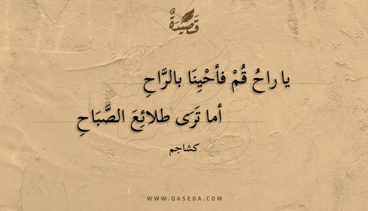 قصيدة يا راح قم فأحينا بالراح
