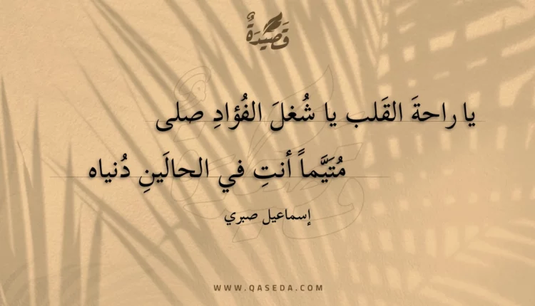قصيدة يا راحة القلب يا شغل الفؤاد صلى