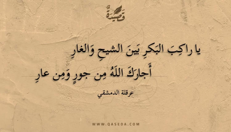 قصيدة يا راكب البكر بين الشيح والغار
