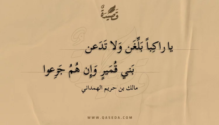 قصيدة يا راكبا بلغن ولا تدعن