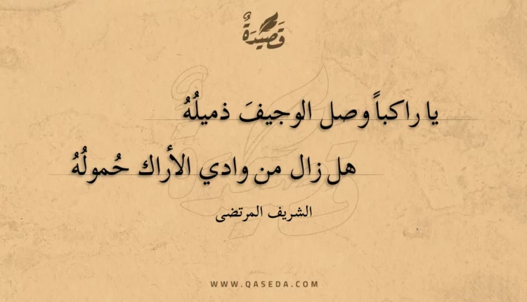 قصيدة يا راكبا وصل الوجيف ذميله