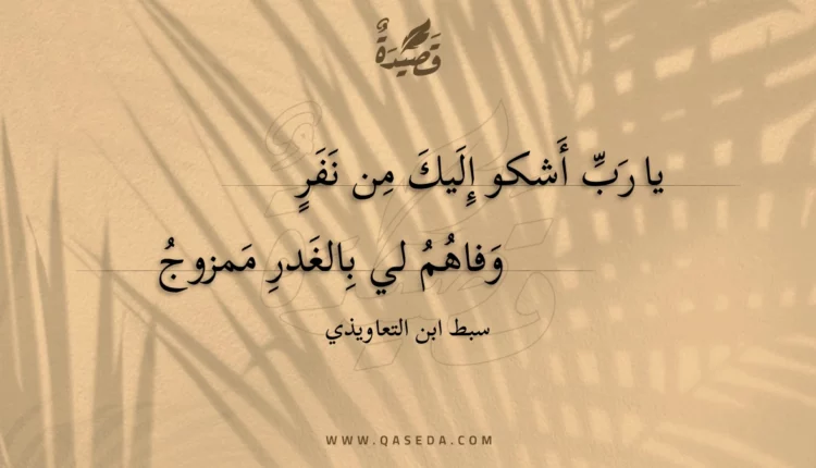 قصيدة يا رب أشكو إليك من نفر
