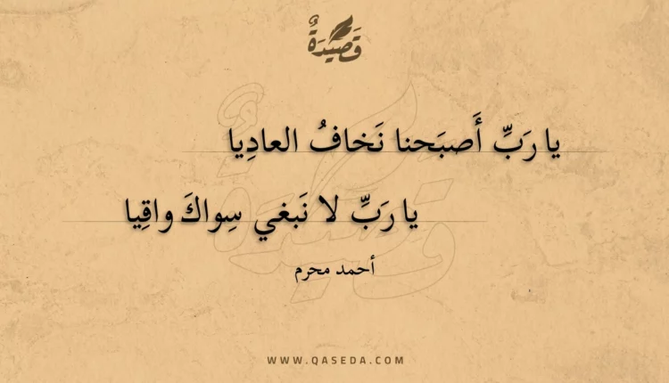 قصيدة يا رب أصبحنا نخاف العاديا
