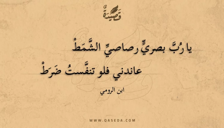 قصيدة يا رب بصري رصاصي الشمط
