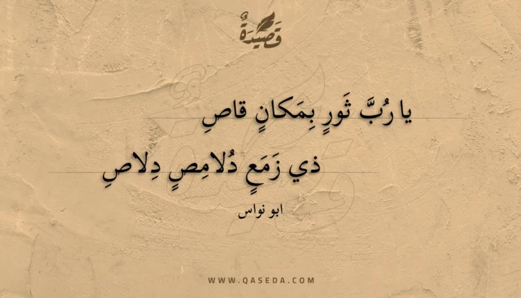 قصيدة يا رب ثور بمكان قاص