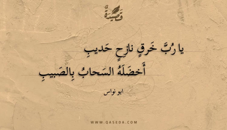 قصيدة يا رب خرق نازح حديب
