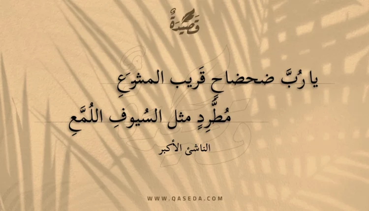 قصيدة يا رب ضحضاح قريب المشرع
