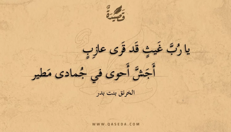 قصيدة يا رب غيثٍ قد قرى عازبٍ