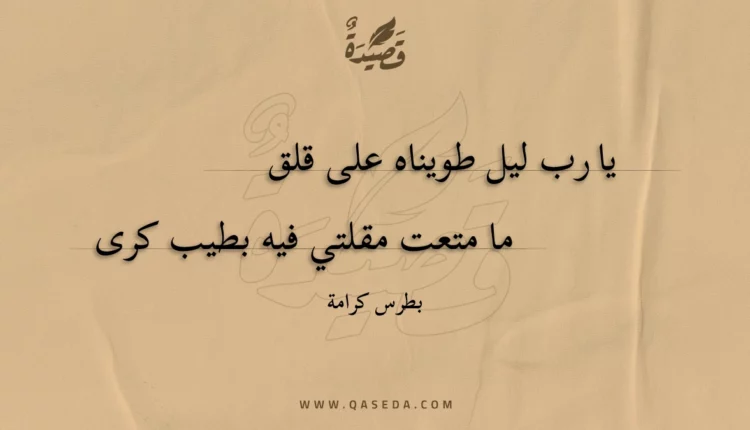 قصيدة يا رب ليل طويناه على قلق