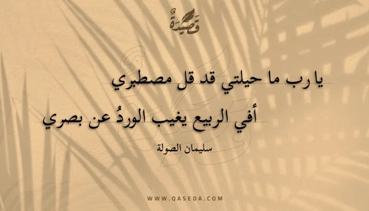 قصيدة يا رب ما حيلتي قد قل مصطبري