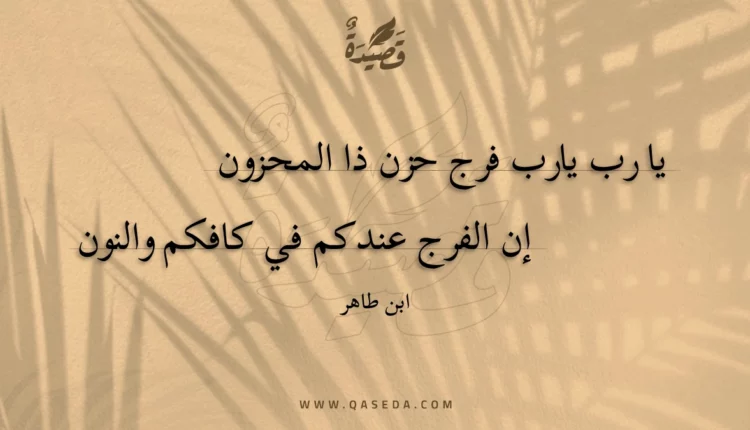 قصيدة يا رب يارب فرج حزن ذا المحزون