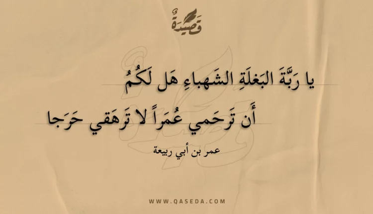 قصيدة يا ربة البغلة الشهباء هل لكم