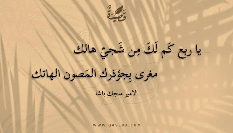 قصيدة يا ربع كم لك من شجي هالك