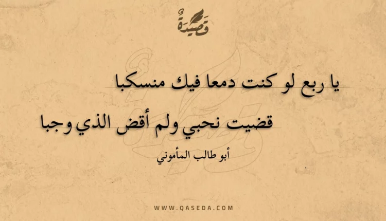 قصيدة يا ربع لو كنت دمعا فيك منسكبا