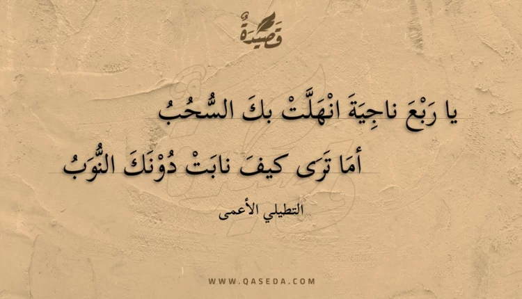 قصيدة يا ربع ناجية انهلت بك السحب