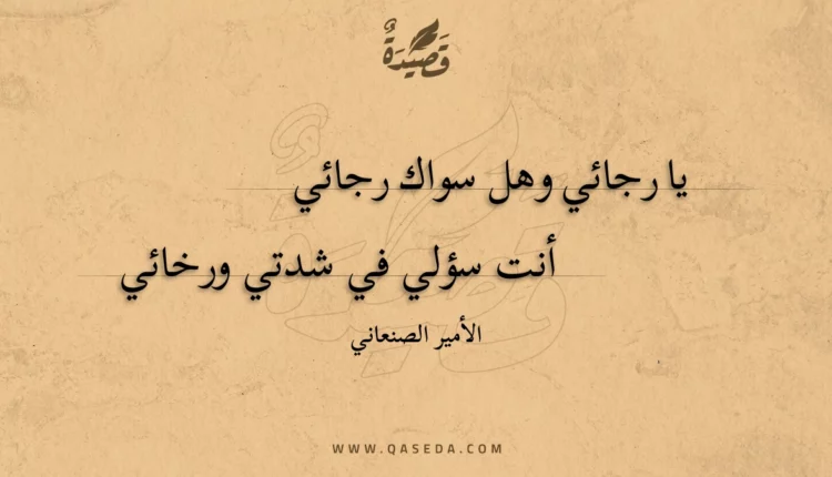قصيدة يا رجائي وهل سواك رجائي