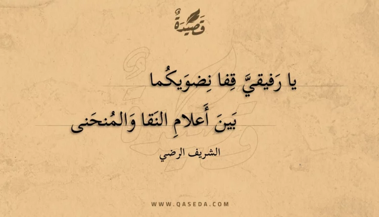قصيدة يا رفيقي قفا نضويكما