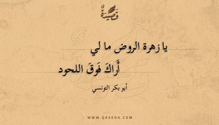 قصيدة يا زهرة الروض ما لي