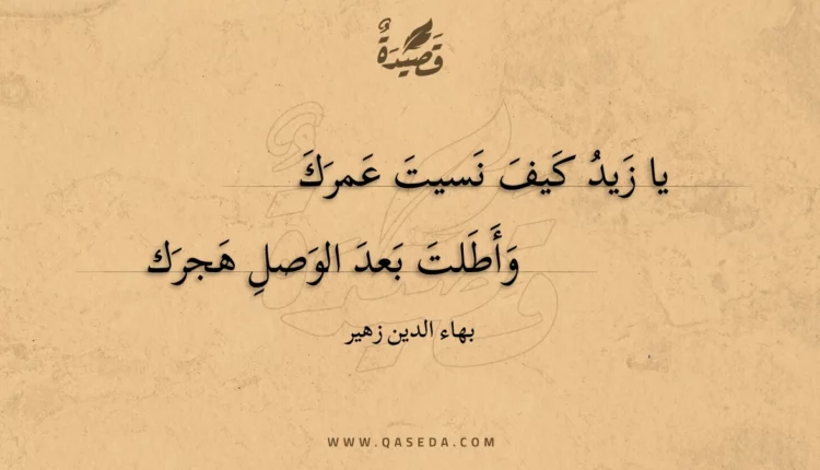 قصيدة يا زيد كيف نسيت عمرك