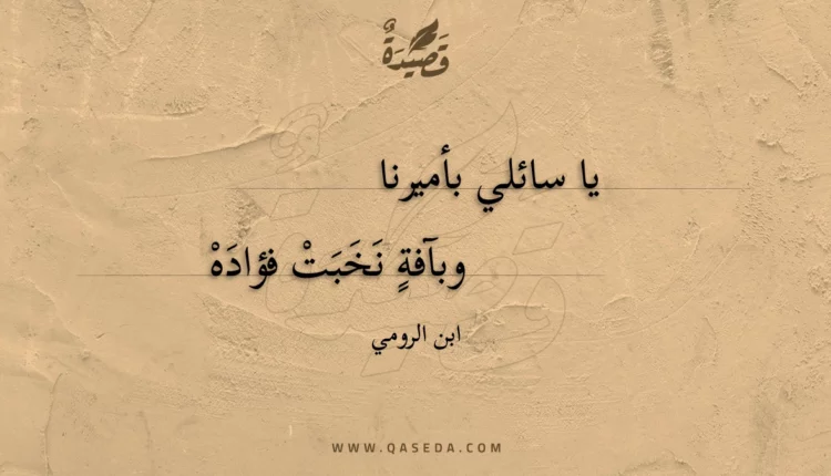 قصيدة يا سائلي بأميرنا