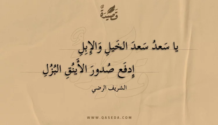 قصيدة يا سعد سعد الخيل والإبل