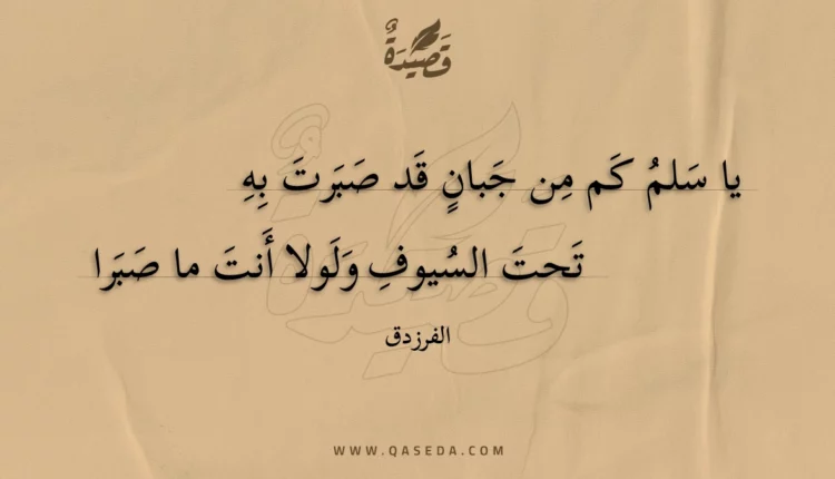 قصيدة يا سلم كم من جبان قد صبرت به