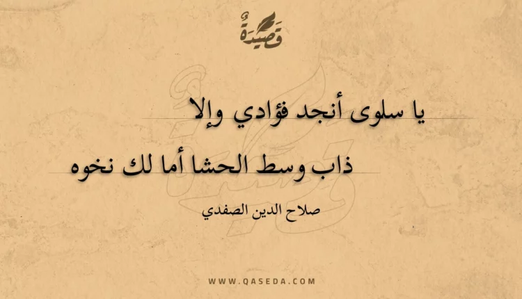 قصيدة يا سلوى أنجد فؤادي وإلا