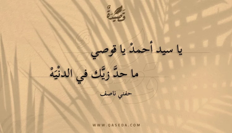 قصيدة يا سيد أحمد يا قوصي
