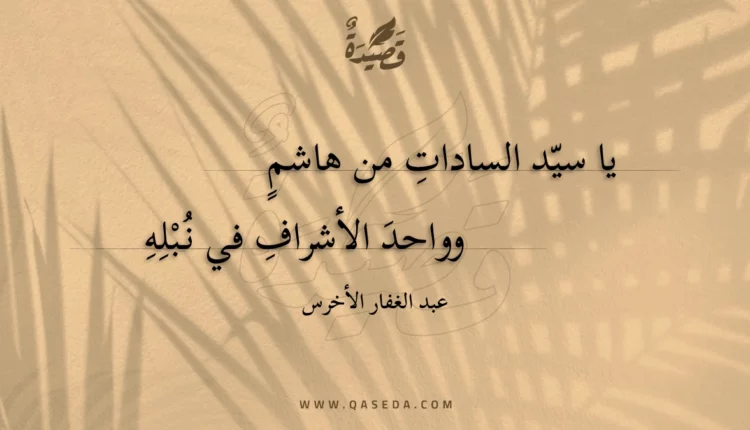 قصيدة يا سيد السادات من هاشم