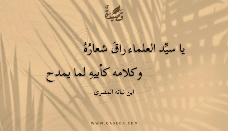 قصيدة يا سيد العلماء راق شعاره